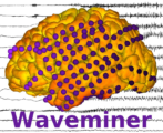 Waveminer Logo